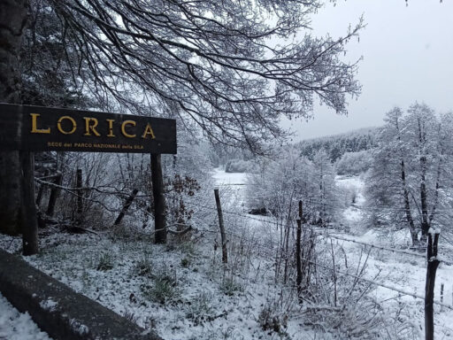 Chiusura Temporanea Impianto Lorica